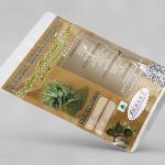 Zingiber Officinale Leaves Powder | Ginger | Inji | Ada